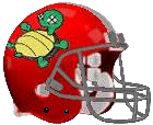 Desert Turtles Logo