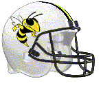 Wanta Bees (11) Logo