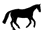 Ponygirl Logo