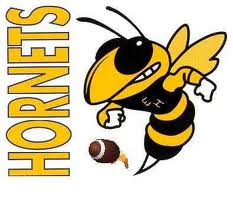 Brown Hornets Logo