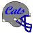 Wildcats Logo