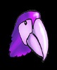 Purple Parrots Logo