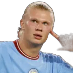 Erling Haaland